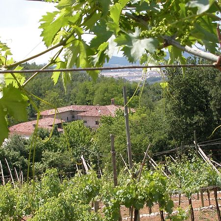 Agriturismo Ca' Verde Сант-Амброджо-ди-Вальполичелла Экстерьер фото