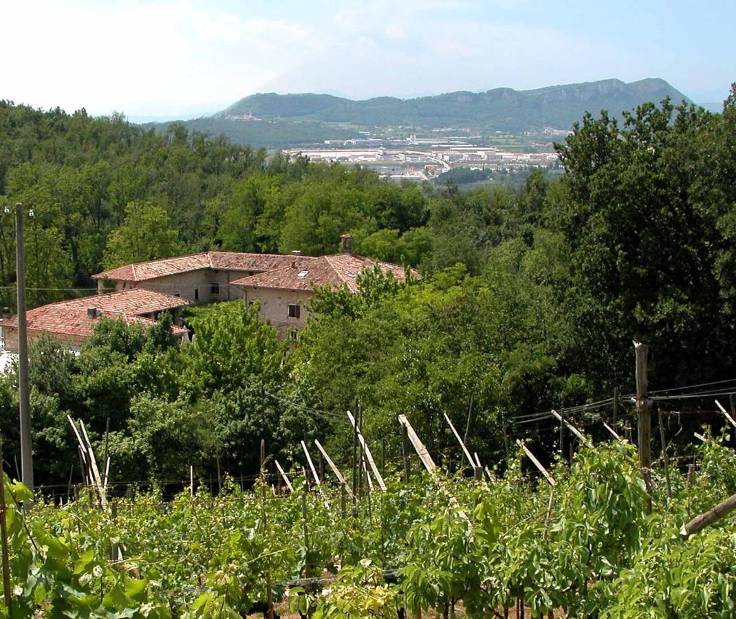 Agriturismo Ca' Verde Сант-Амброджо-ди-Вальполичелла Экстерьер фото