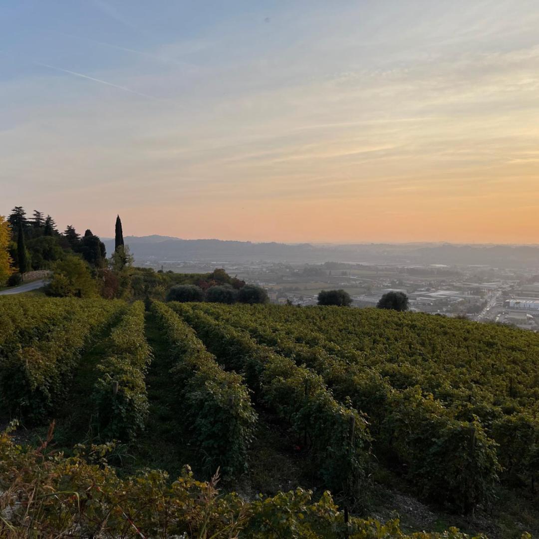 Agriturismo Ca' Verde Сант-Амброджо-ди-Вальполичелла Экстерьер фото