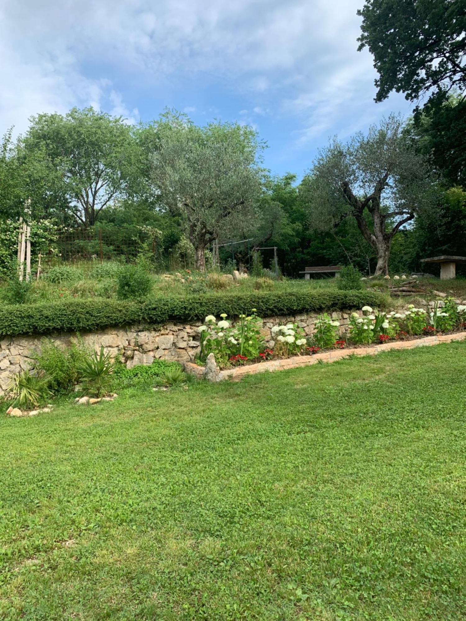 Agriturismo Ca' Verde Сант-Амброджо-ди-Вальполичелла Экстерьер фото