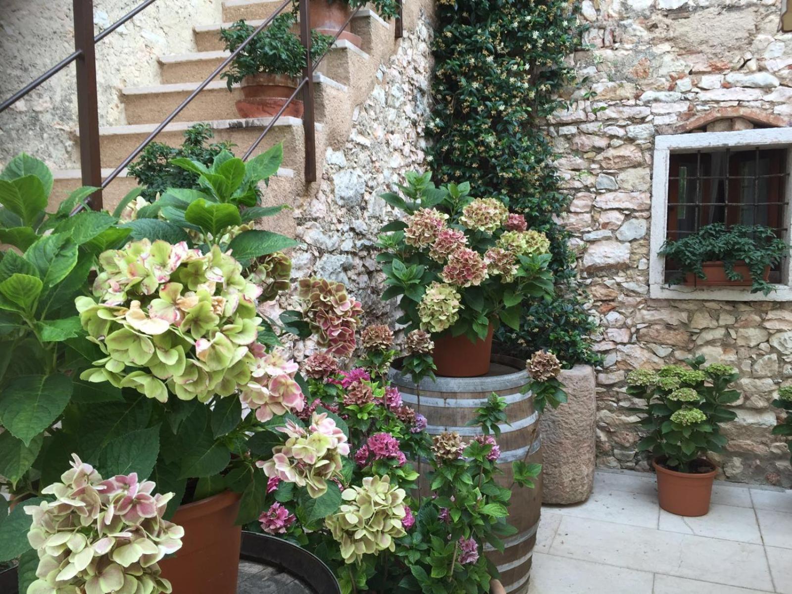 Agriturismo Ca' Verde Сант-Амброджо-ди-Вальполичелла Экстерьер фото