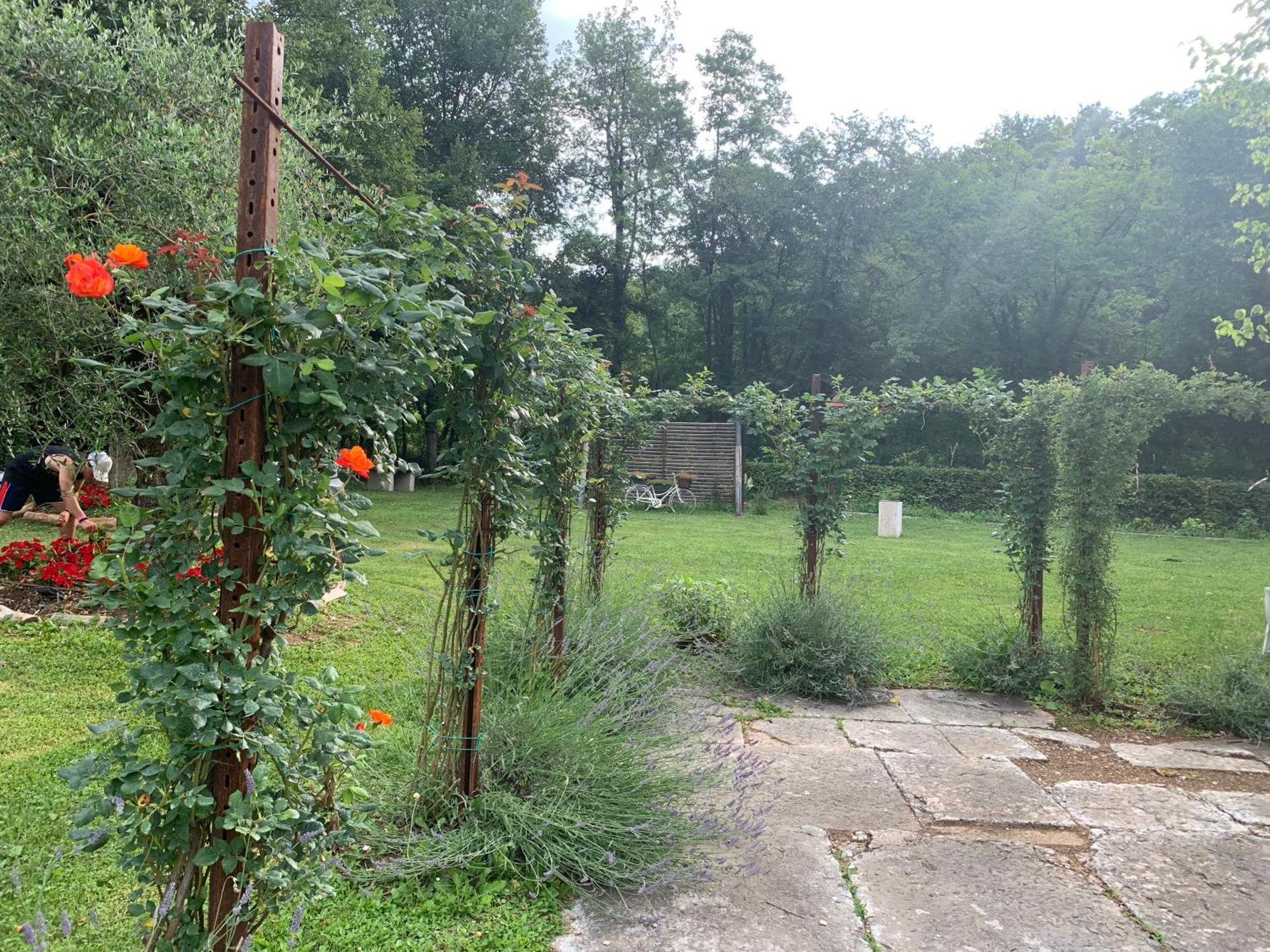 Agriturismo Ca' Verde Сант-Амброджо-ди-Вальполичелла Экстерьер фото